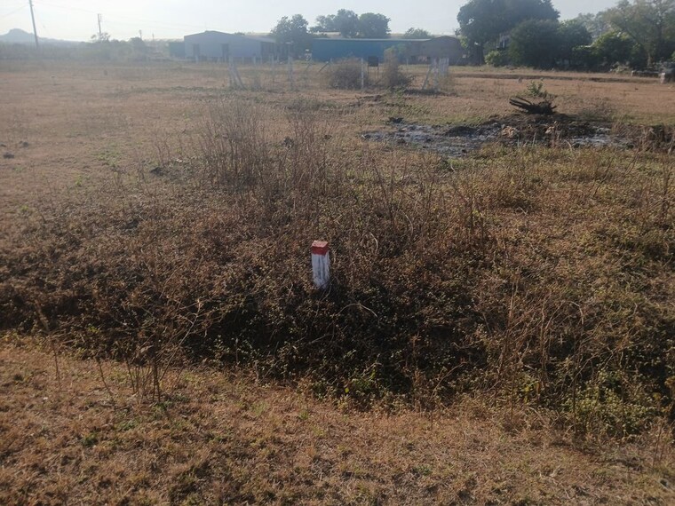 undefined, dindori road  100 Sq.Yd. Plot In Dindori Road Nashik 10117699