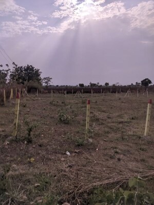 Plot Area in  Land at Buti Bori – for Sale