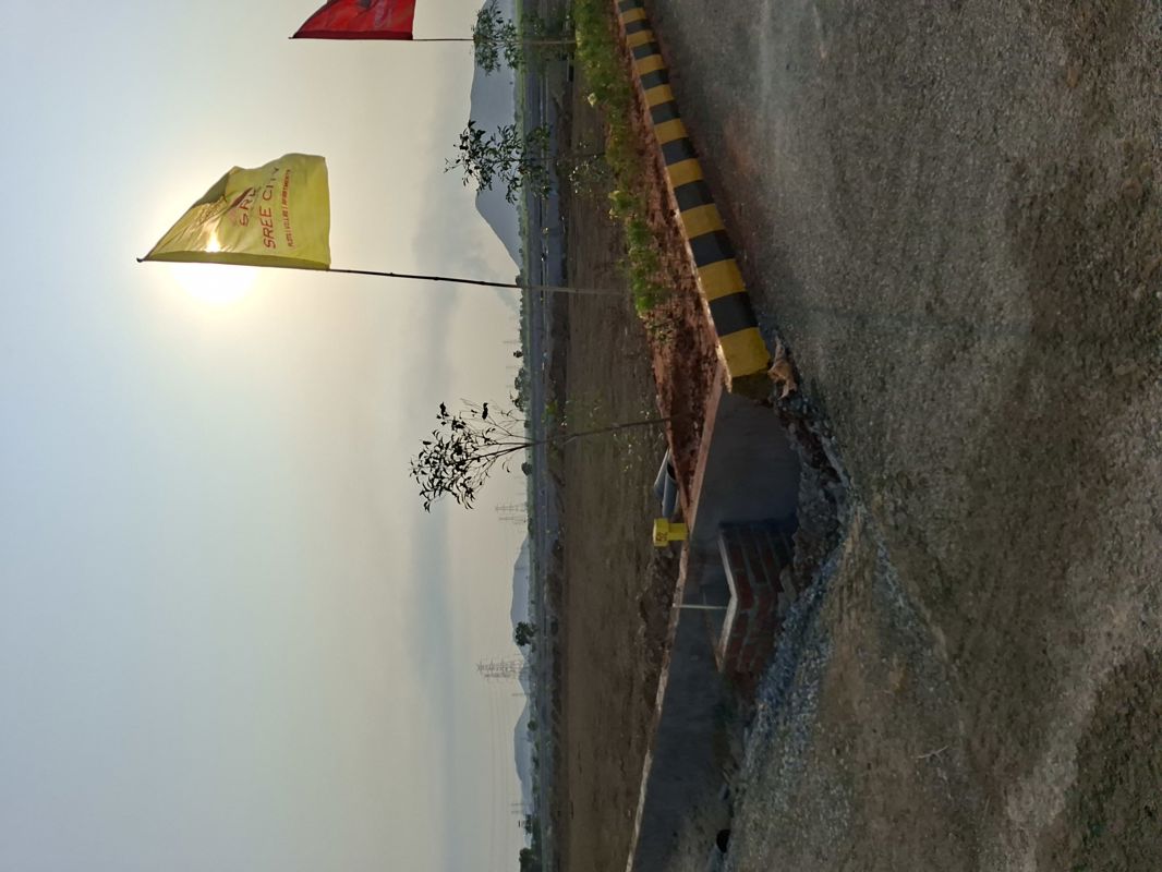Plot For Sale in Pathapadu