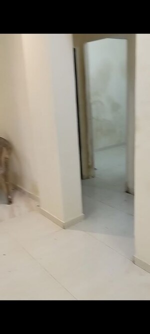 1 BHK Apartment For Rent in Kharghar Sector 19