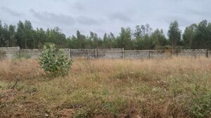  Plot For Sale in Fire Luxur The Empyrean Phase 1, Chansandra