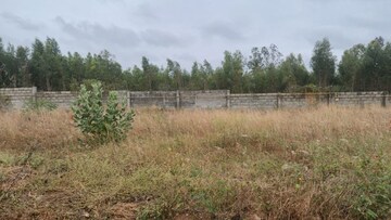  Plot For Sale in Fire Luxur The Empyrean Phase 1, Chansandra