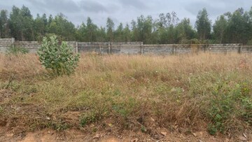 Plot Area in  Plot at Fire Luxur The Empyrean Phase 1, Chansandra – for Sale