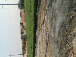  Plot – Garden View at Kulesara - for Sale