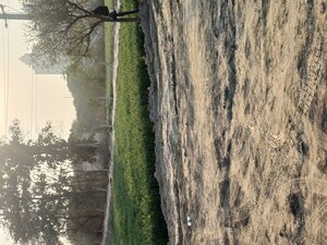  Plot – Garden View at Kulesara - for Sale