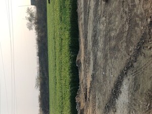  Plot – Garden View at Kulesara - for Sale