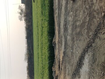  Plot – Garden View at Kulesara - for Sale