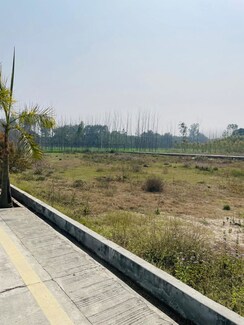 Plot For Sale in Biharigarh