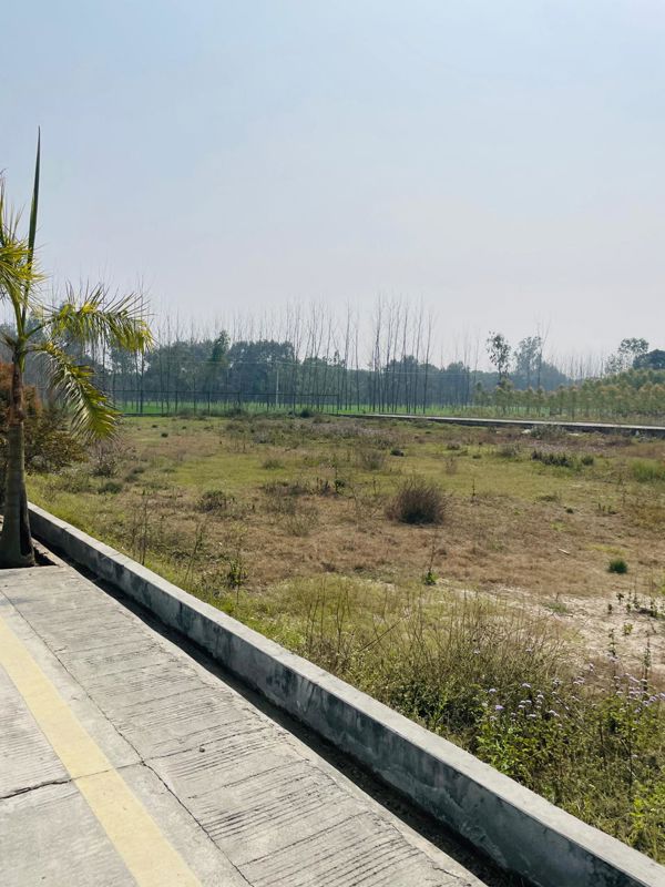 Plot For Sale in Biharigarh
