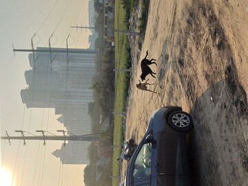  Plot For Sale in Kulesara