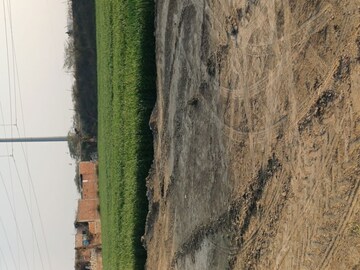  Plot – Garden View at Kulesara - for Sale