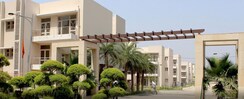 4 BHK + Pooja Room Builder Floor For Sale in Sector 88