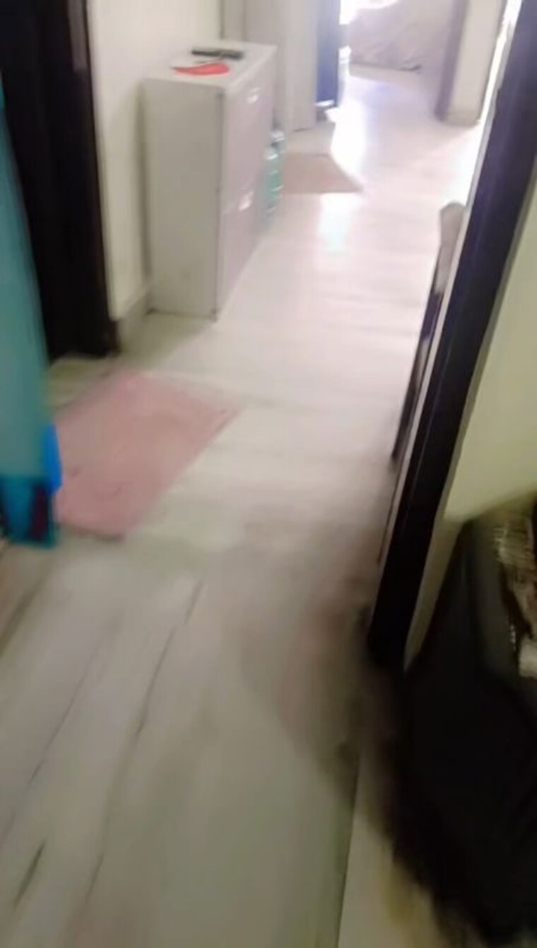 Room, dilshad colony 2 Bedroom 600 Sq.Ft. Builder Floor In Dilshad Colony Delhi 10120775