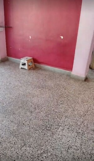 1 BHK Apartment For Rent in Aundh