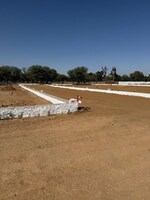 250 Sq.Yd. Plot in Dayalpur