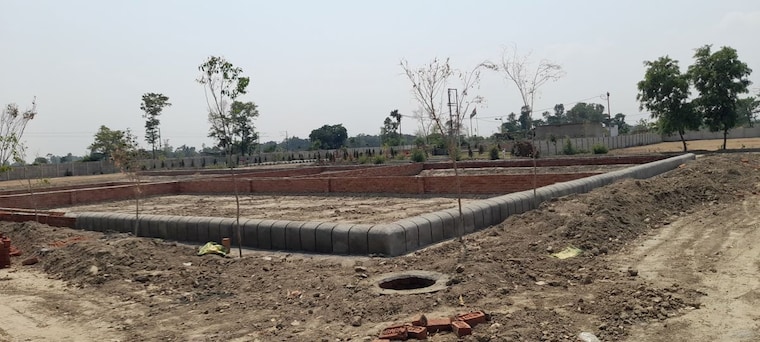 undefined, mullanpur  2005 Sq.Ft. Plot In Mullanpur Mohali 10120989