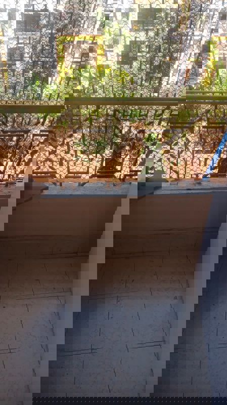 1 BHK 450 Sq.Ft. Apartment in Raunak Park