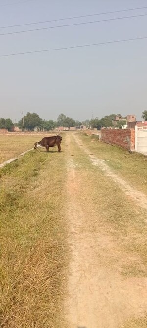  Plot For Sale in Parao