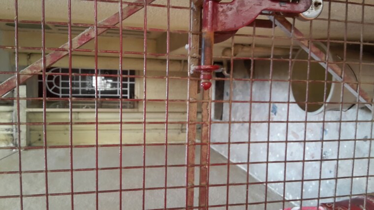 Bathroom, rt nagar 1 Bedroom 652 Sq.Ft. Independent House In Rt Nagar Bangalore 10121759