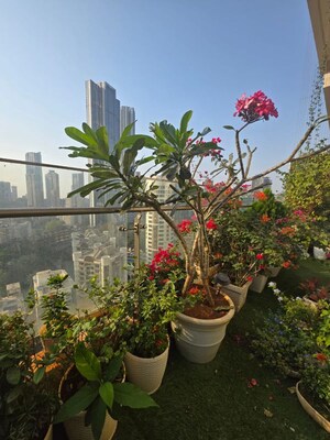 3 BHK Apartment – Garden View at Indiabulls Sky Forest, Lower Parel - for Rent