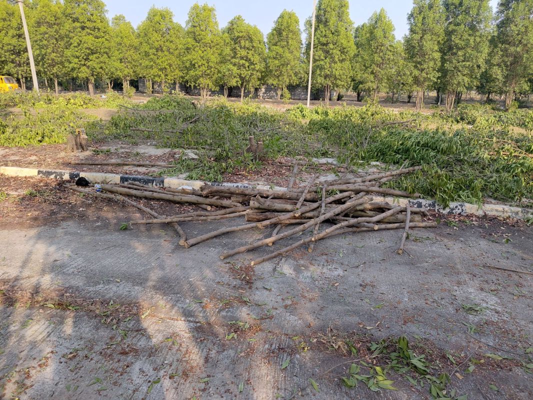 Plot For Sale in Medchal