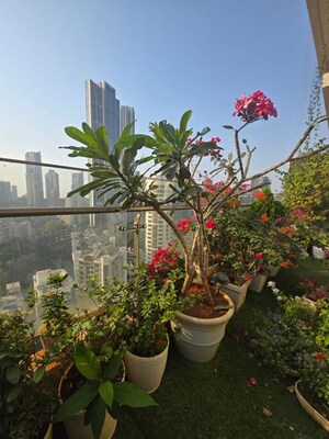 3 BHK Apartment – Garden View at Indiabulls Blu, Worli - for Rent