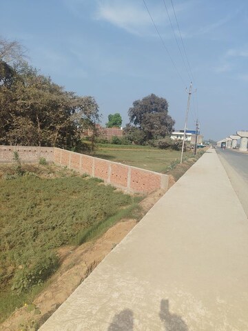 Plot Area in  Land at Kanhauli – for Sale