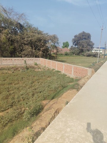 Plot Area in  Land at Kanhauli – for Sale