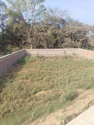  Land For Sale in Kanhauli