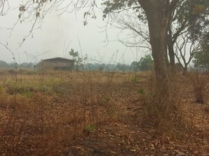 Plot Area in  Plot at Pen – for Sale