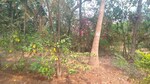 1089 Sq.Ft. Plot in New Panvel