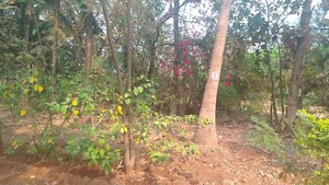  Plot For Sale in New Panvel