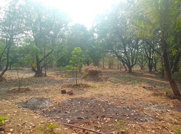 undefined, uran  1089 Sq.Ft. Plot In Uran Navi Mumbai 10122127