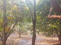 Plot For Sale in Uran