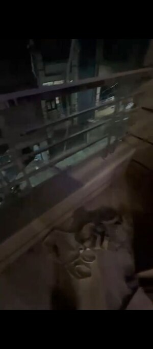 Balcony in 3 BHK Builder Floor at Dwarka Mor – for Sale