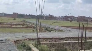 Plot Area in  Plot at Rohania – for Sale