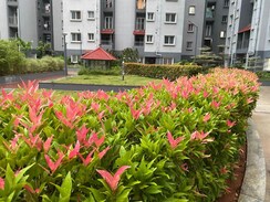 2 BHK + Pooja Room Apartment For Rent in Bren Northern Lights