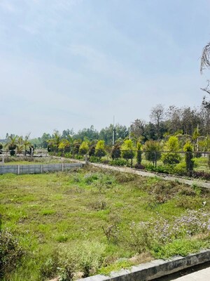 Plot Area in  Plot at Biharigarh – for Sale