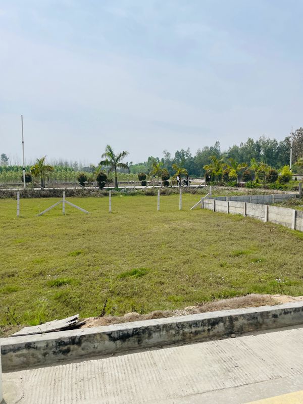Plot For Sale in Biharigarh