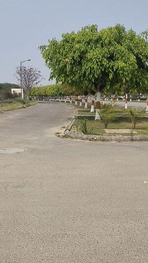  Plot – Exterior View View at DLF Garden City, Mohanlalganj - for Sale