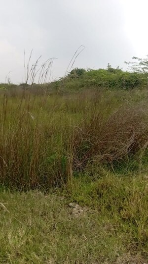 Plot Area in  Plot at Shanthi Nagar – for Sale