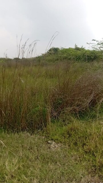 Plot Area in  Plot at Shanthi Nagar – for Sale