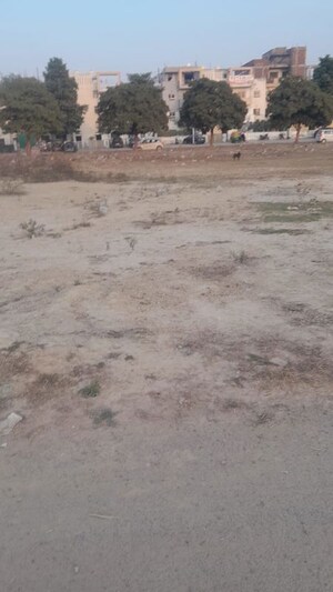  Plot For Sale in Sector 78