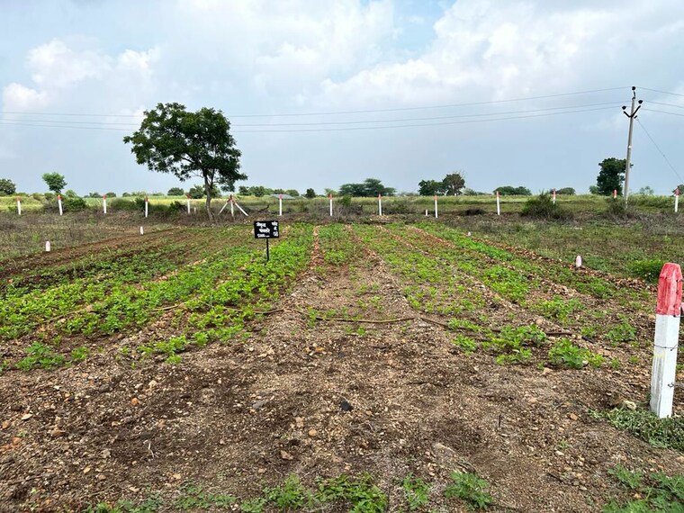 undefined, krishna-iscon-valley  2655 Sq.Ft. Plot In Gosainganj Lucknow 10123498