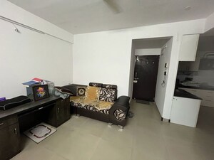 1 BHK Apartment For Rent in Punawale