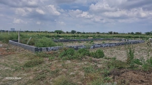  Plot For Sale in Majra