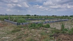 Plot For Sale in Majra