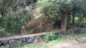 Plot Area in  Plot at Chembukkavu – for Sale