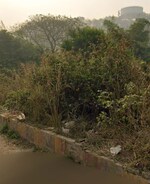 109000 Sq.Ft. Plot in Charholi Budruk
