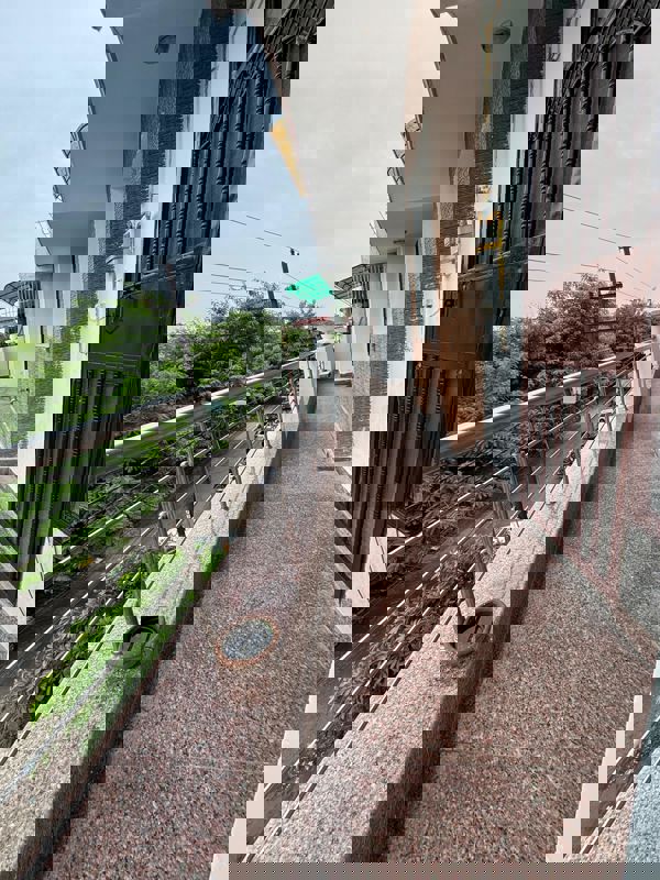 3 BHK + Pooja Room 1369 Sq.Ft. Apartment in Apex The Kremlin